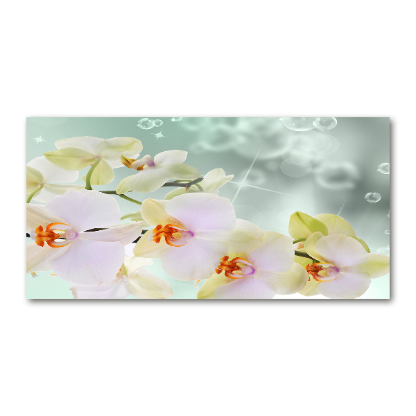 Plexiglas foto Witte orchidee