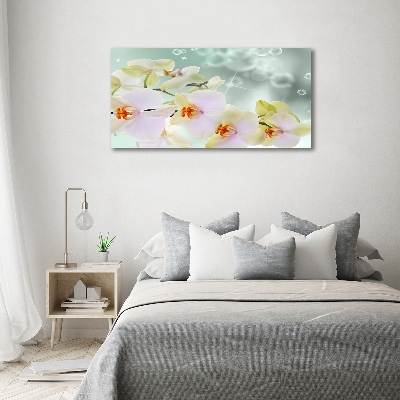 Plexiglas foto Witte orchidee