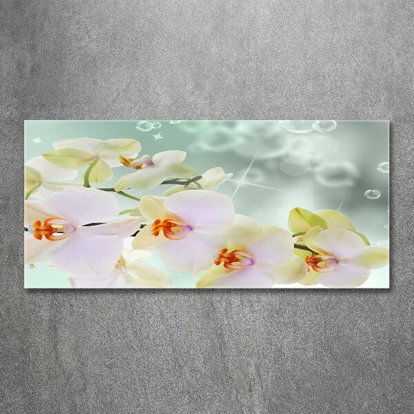 Plexiglas foto Witte orchidee