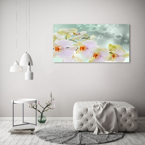 Plexiglas foto Witte orchidee
