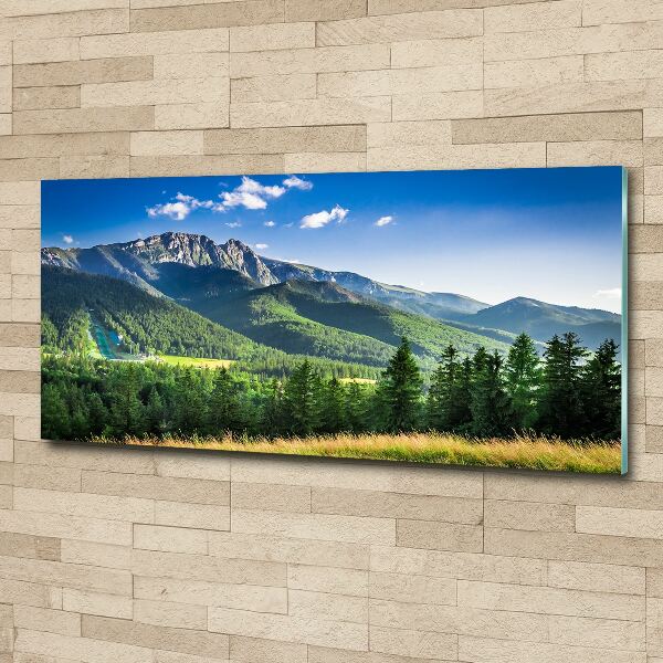 Plexiglas foto Skischans in het Tatragebergte