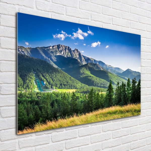 Plexiglas foto Skischans in het Tatragebergte