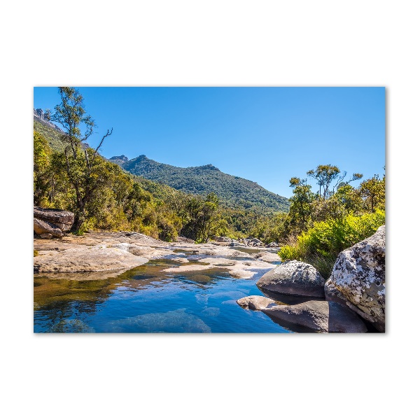 Foto in plexiglas Rivier in het bos