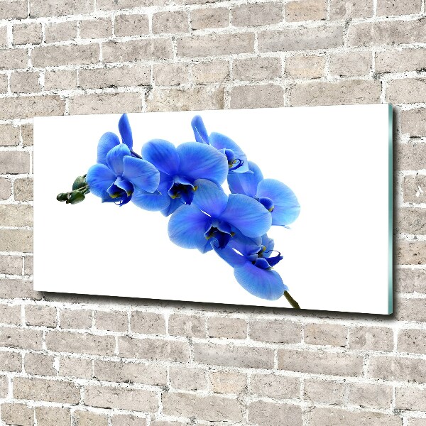 Foto plexiglas Blauwe orchidee