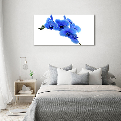 Foto plexiglas Blauwe orchidee
