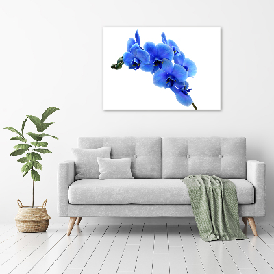 Foto plexiglas Blauwe orchidee