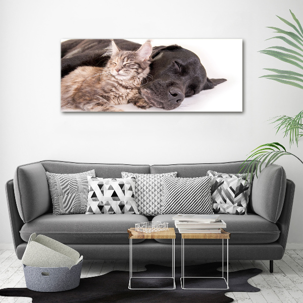 Plexiglas foto Hond met kat