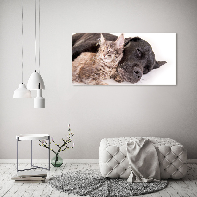 Plexiglas foto Hond met kat