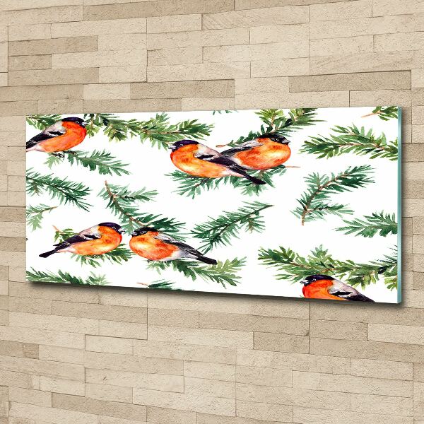 Schilderij op acrylglas Roodborstje op een naaldboom