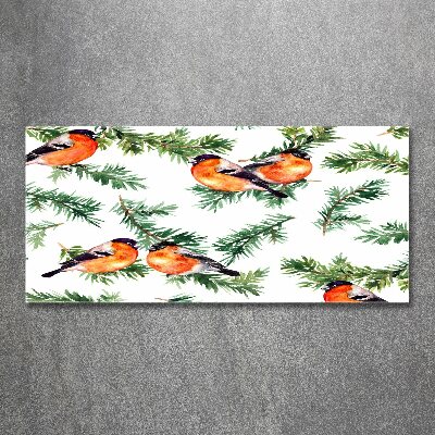 Schilderij op acrylglas Roodborstje op een naaldboom