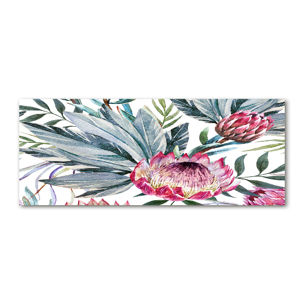 Foto plexiglas Protea