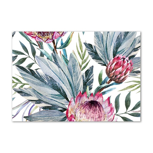 Foto plexiglas Protea