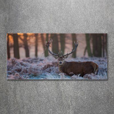 Foto in plexiglas Hert bij zonsopgang