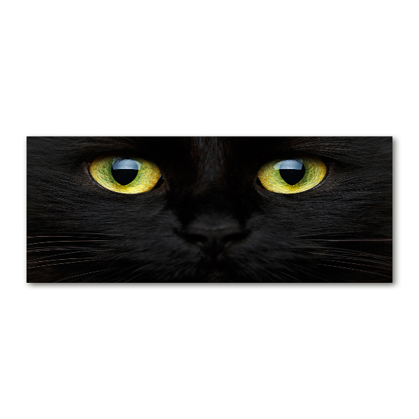 Schilderij op acrylglas Kattenogen