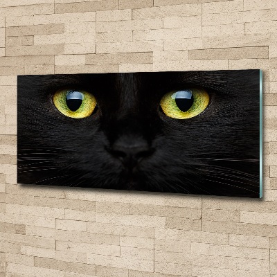 Schilderij op acrylglas Kattenogen