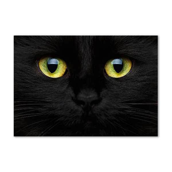 Schilderij op acrylglas Kattenogen