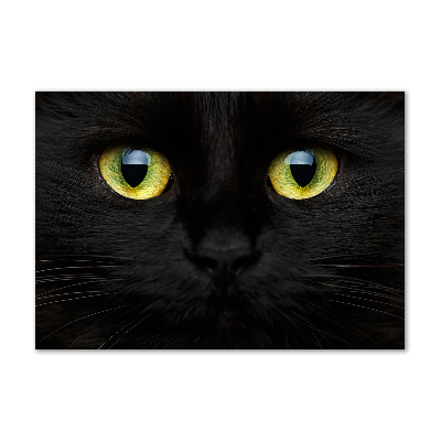 Schilderij op acrylglas Kattenogen