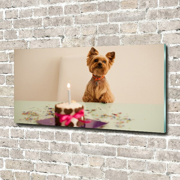 Foto op plexiglas Hond met taart