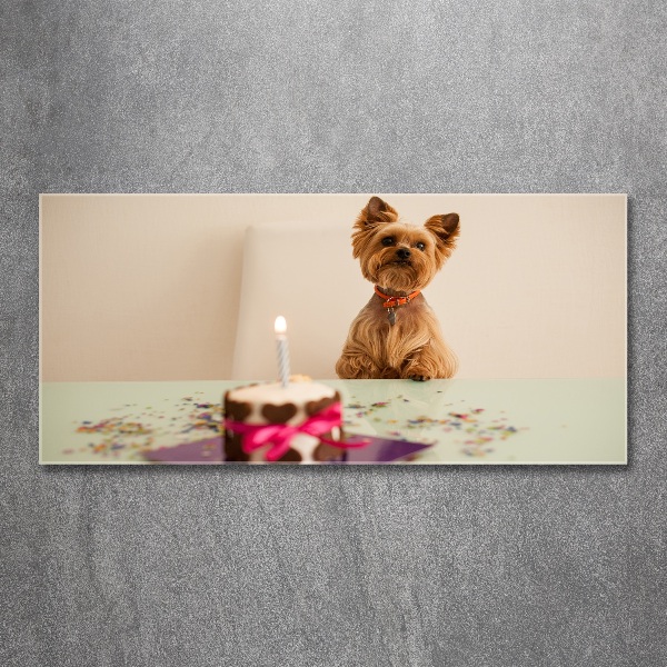 Foto op plexiglas Hond met taart