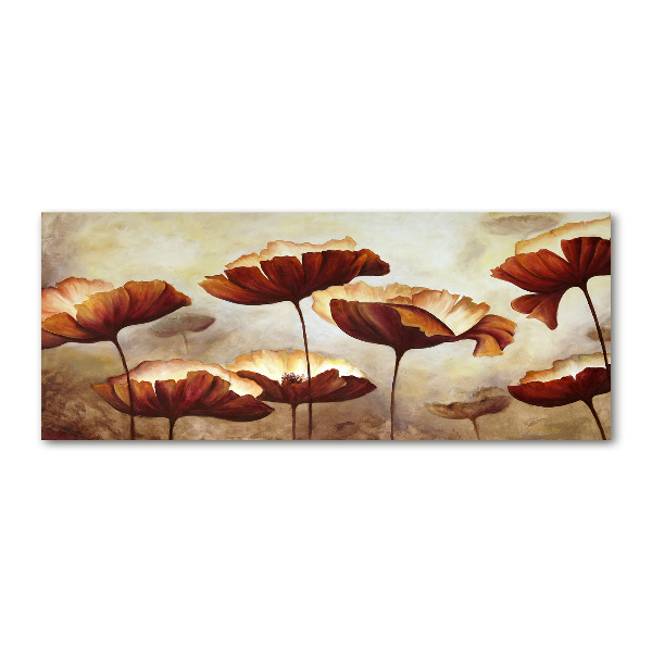 Plexiglas foto Klaprozen