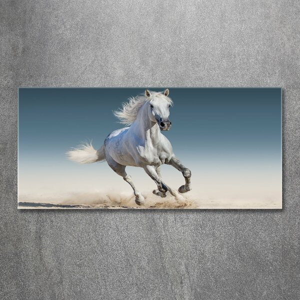 Plexiglas foto Een wit paard in galop