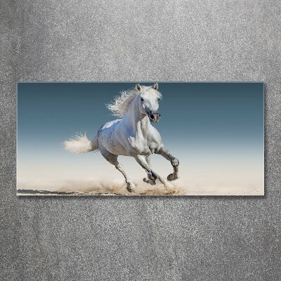 Plexiglas foto Een wit paard in galop