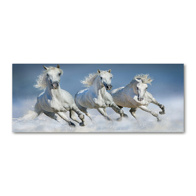 Foto plexiglas Paarden in galop