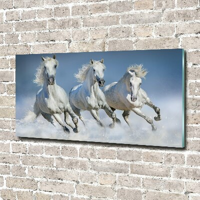 Foto plexiglas Paarden in galop