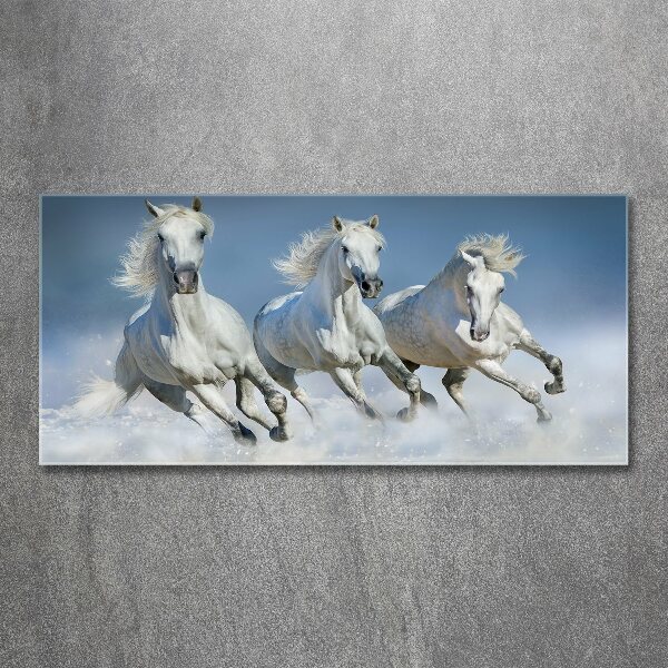 Foto plexiglas Paarden in galop