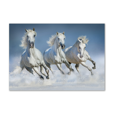 Foto plexiglas Paarden in galop