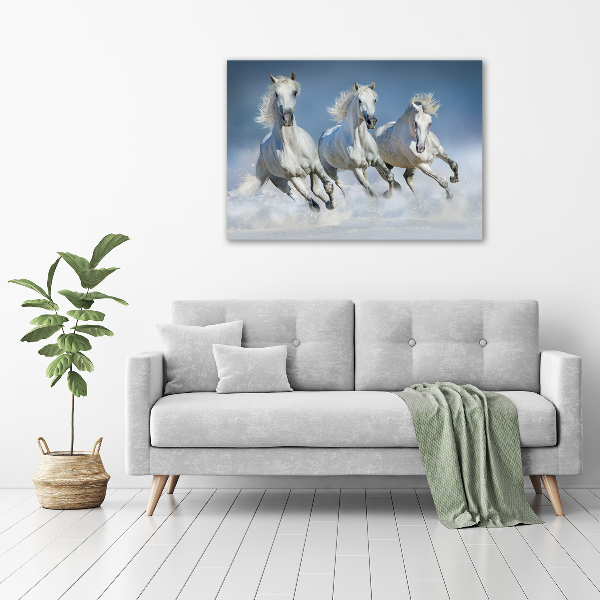 Foto plexiglas Paarden in galop