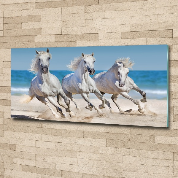 Foto in plexiglas Witte paardenstrand