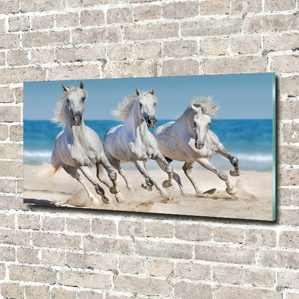 Foto in plexiglas Witte paardenstrand