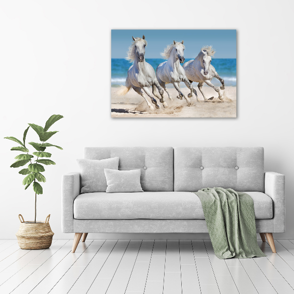 Foto in plexiglas Witte paardenstrand