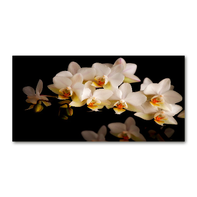 Foto plexiglas Orchidee