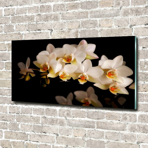Foto plexiglas Orchidee