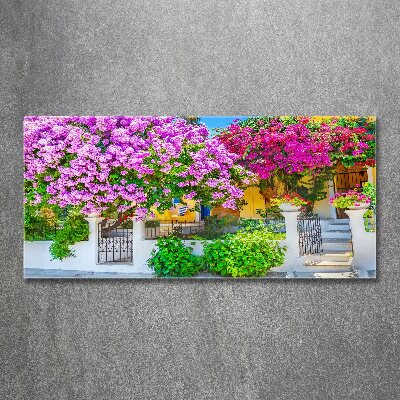 Foto in plexiglas Huis met bougainvillea