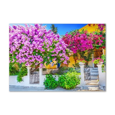 Foto in plexiglas Huis met bougainvillea