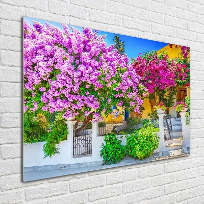 Foto in plexiglas Huis met bougainvillea