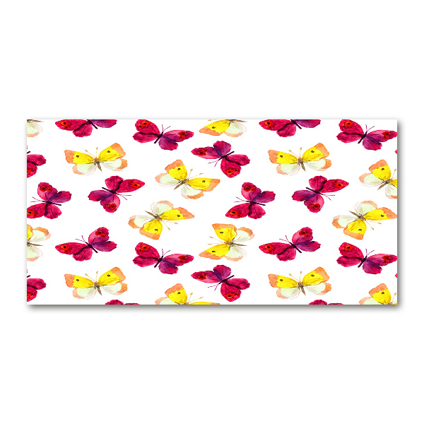 Plexiglas schilderij Vlinders en bloemen