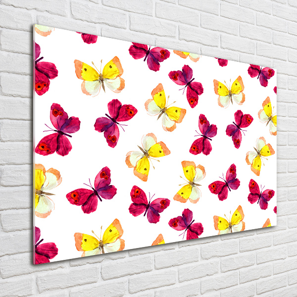 Plexiglas schilderij Vlinders en bloemen