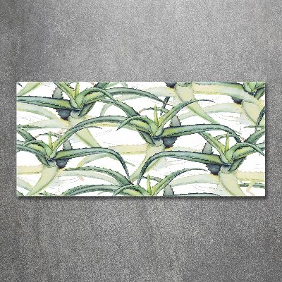 Foto in plexiglas Aloë