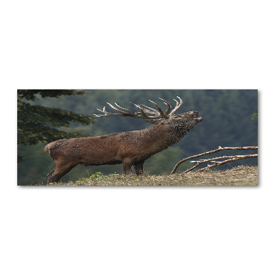 Plexiglas schilderij Hert op de heuvel