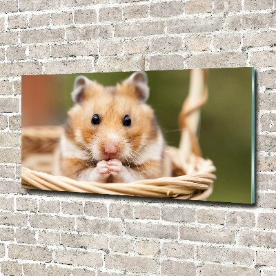 Schilderij op acrylglas Hamster in een mandje