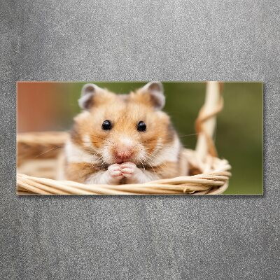 Schilderij op acrylglas Hamster in een mandje