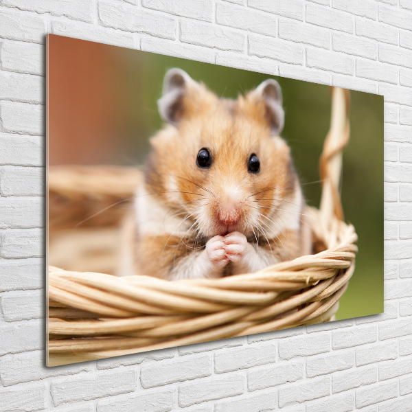 Schilderij op acrylglas Hamster in een mandje