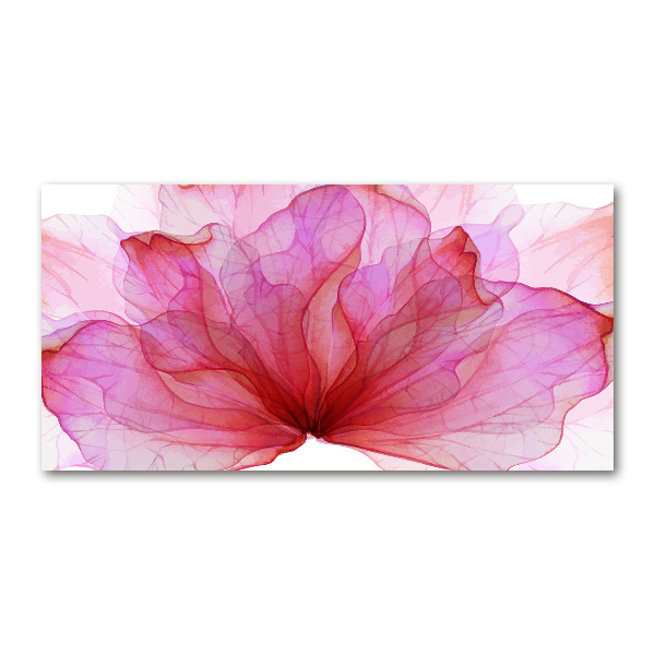 Plexiglas schilderij Roze bloem