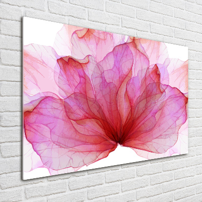 Plexiglas schilderij Roze bloem
