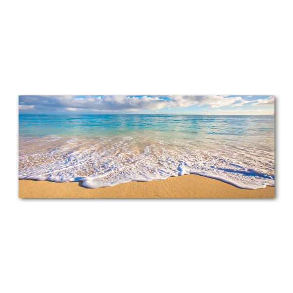 Plexiglas foto Hawaiiaans strand