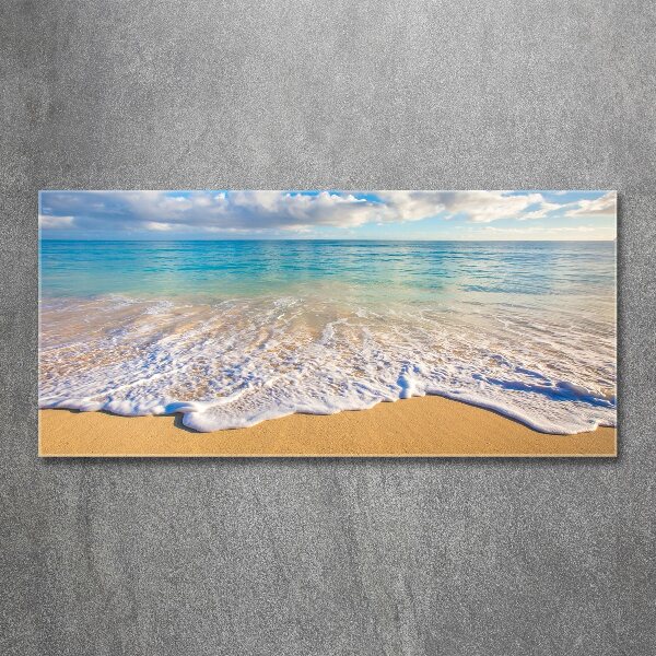 Plexiglas foto Hawaiiaans strand